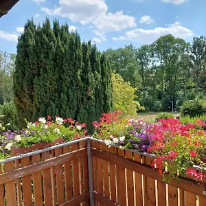 Meißner , Bad Rodach Deutschland